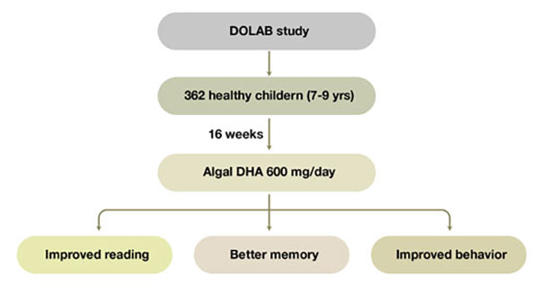 DHA Improves Reading, Cognition and Behavior in School Children