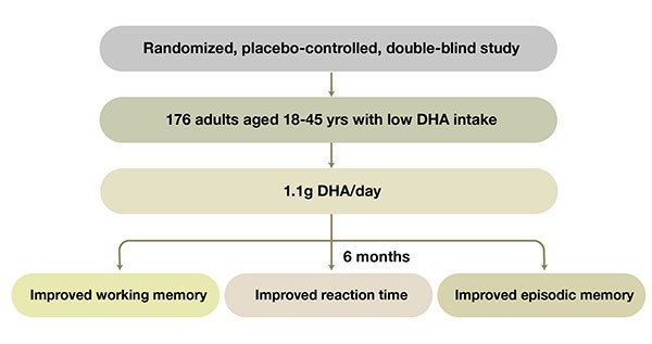 DHA Improves the Attendance Rate of Children in School