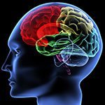 Memory boosting diet